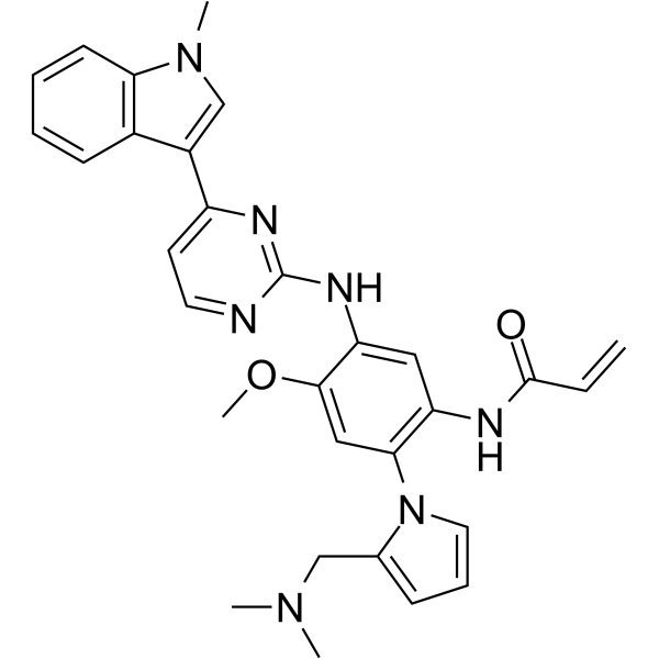 EGFR kinase inhibitor 1 2413958-04-8